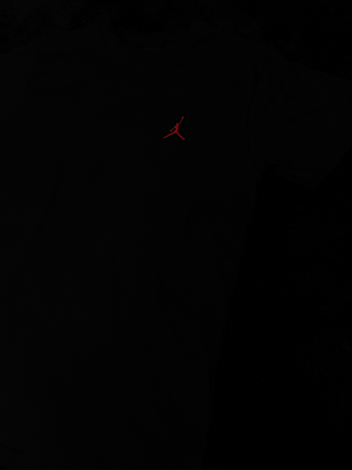 Remera JORDAN Bordado 2