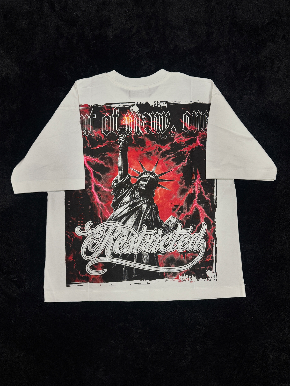 Remera RESTRICTED Liberty 2
