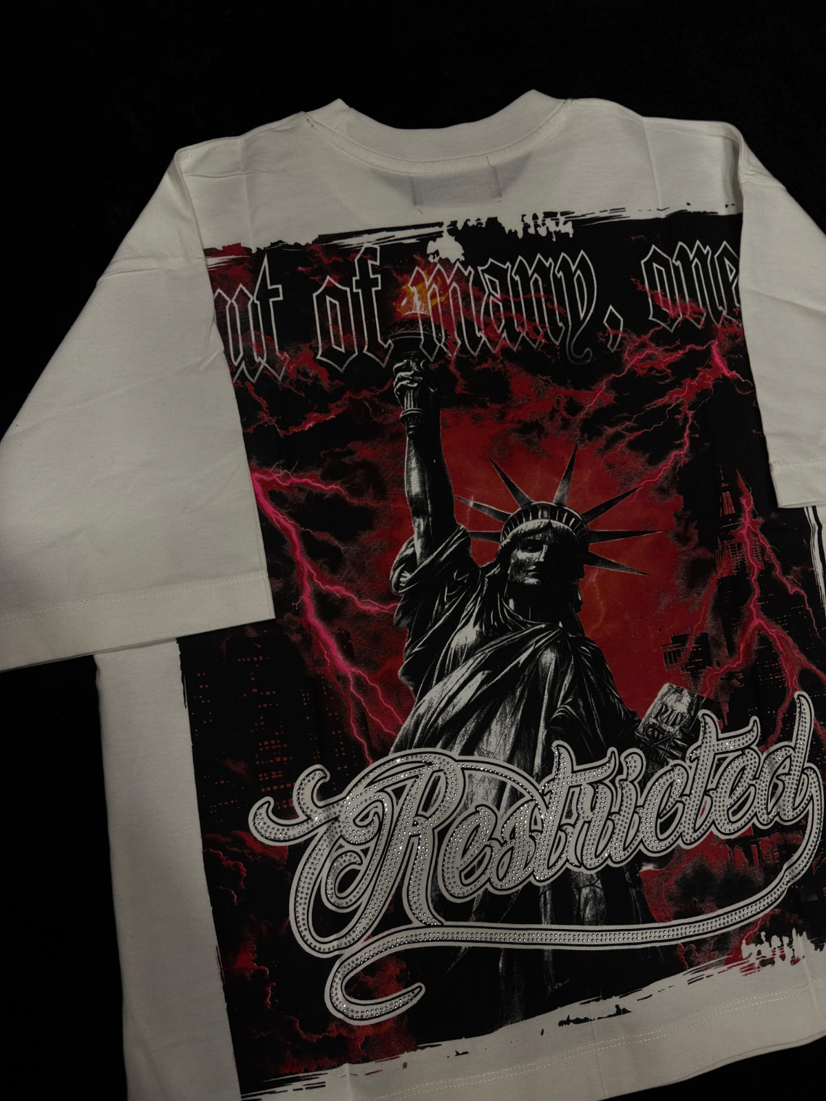 Remera RESTRICTED Liberty 3